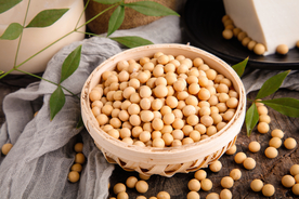 黄豆五谷杂粮图片