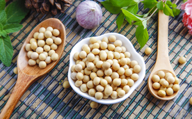 黄豆五谷杂粮图片