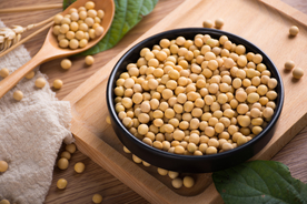 黄豆五谷杂粮图片