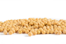 黄豆五谷杂粮图片