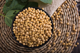 黄豆五谷杂粮图片