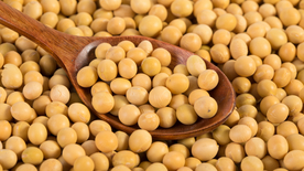 黄豆五谷杂粮图片