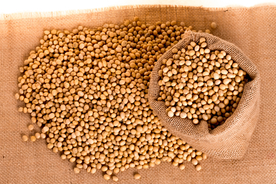 黄豆五谷杂粮图片