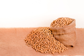 黄豆五谷杂粮图片