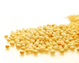 黄豆五谷杂粮图片