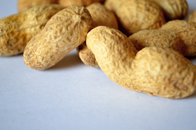 花生五谷杂粮图片