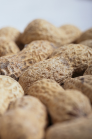 花生五谷杂粮图片