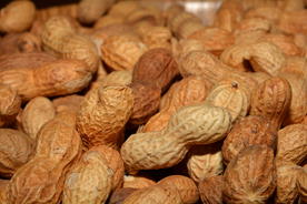 花生五谷杂粮图片