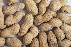 花生五谷杂粮图片