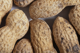 花生五谷杂粮图片