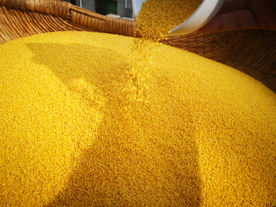 小米五谷杂粮图片