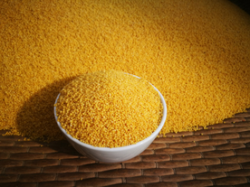 小米五谷杂粮图片