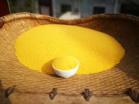 小米五谷杂粮图片