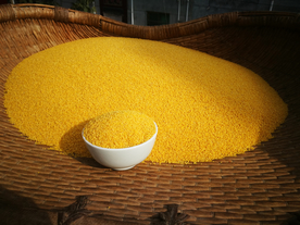 小米五谷杂粮图片