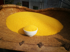 小米五谷杂粮图片