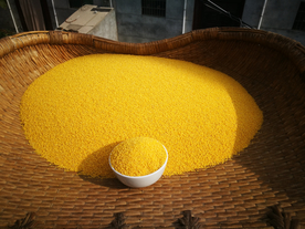 小米五谷杂粮图片