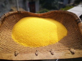 小米五谷杂粮图片