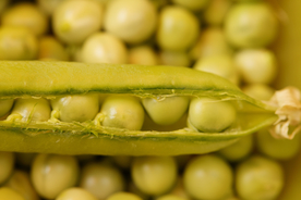 豌豆五谷杂粮图片