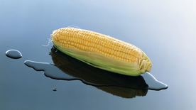 玉米五谷杂粮图片