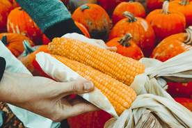 玉米五谷杂粮图片