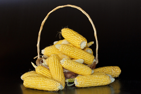 玉米五谷杂粮图片