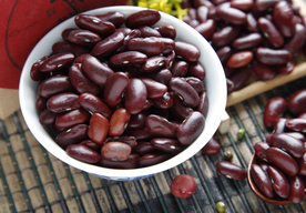 红豆 相思豆 油豆 红色油豆