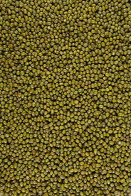 绿豆五谷杂粮图片