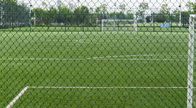 绿草茵茵的足球场