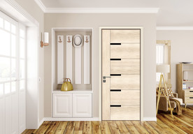 生态门客厅背景效果