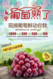 采摘季美食葡萄采摘优惠活动海报