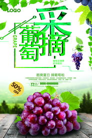 摘葡萄海报设计