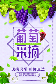 简约葡萄采摘海报