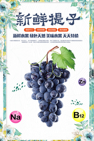 清新水果店新鲜提子海报