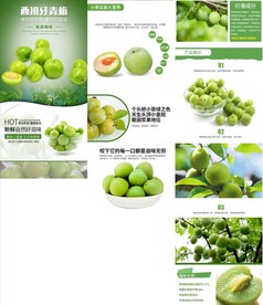 青梅西梅梅子详情模板
