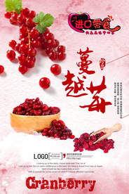 零食蔓越莓促销海报