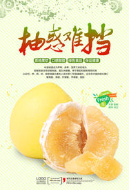清新柚子宣传海报