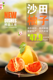 沙田清新红心柚子特产海报
