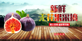 无花果采摘宣传海报