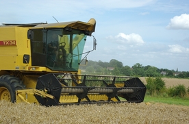 收割机丰收图片