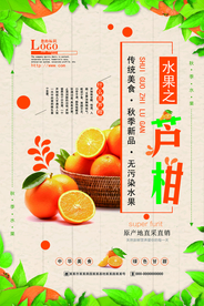 新鲜水果芦柑海报