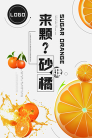 精美好看的小清新砂糖橘海报