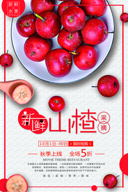 山楂水果海报