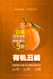 简约有机丑橘包送到家海报设计
