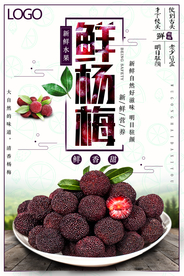 杨梅酸酸甜甜创意海报