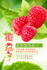 清新风进口覆盆子海报