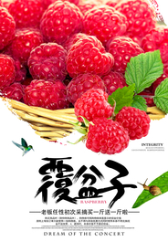 新鲜覆盆子美食海报