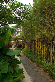 花园庭院