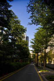 花园庭院