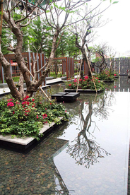 花园庭院