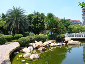 花园庭院